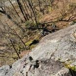 on top of a rock