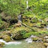 small pond with a waterfall